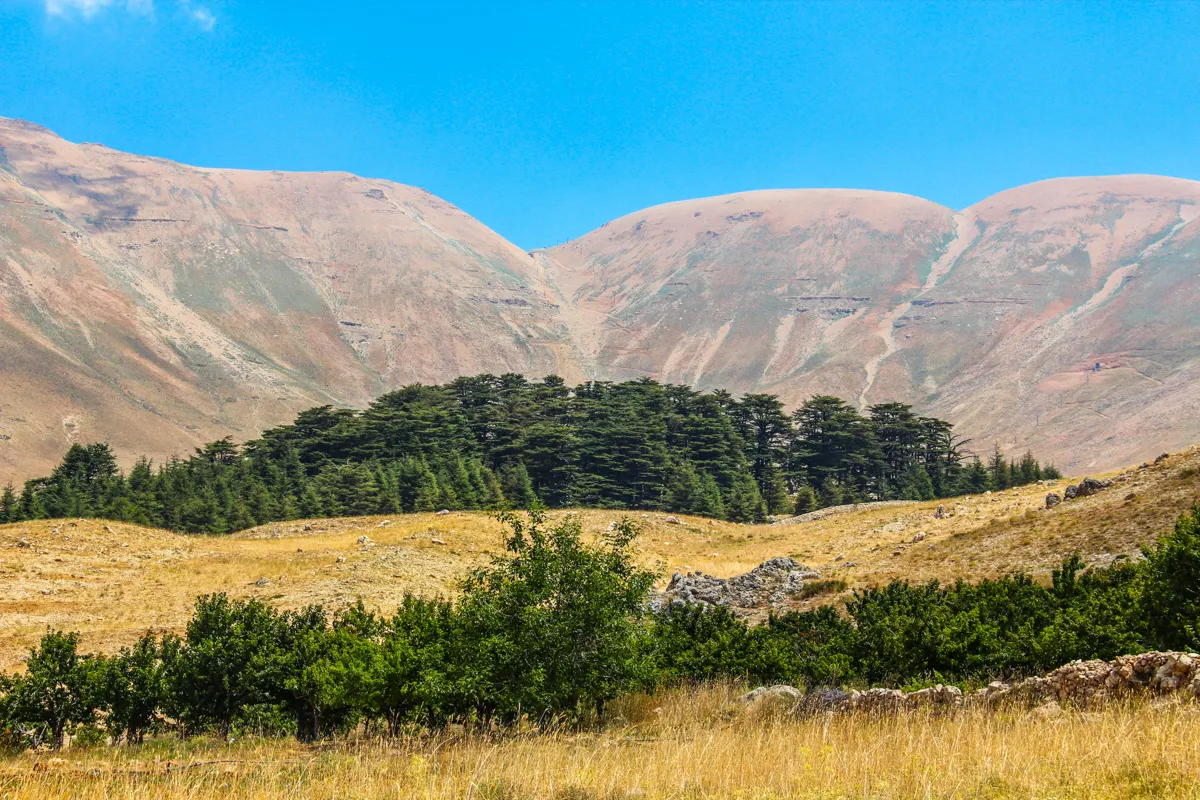 Lebanon Mountains: The 7-Part Guide to Your Epic Adventure
