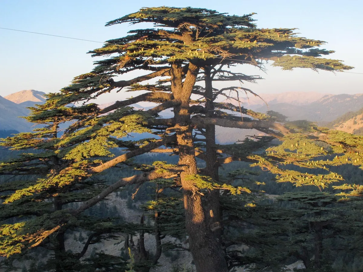 the ultimate lebanon travel guide an honest journe 3