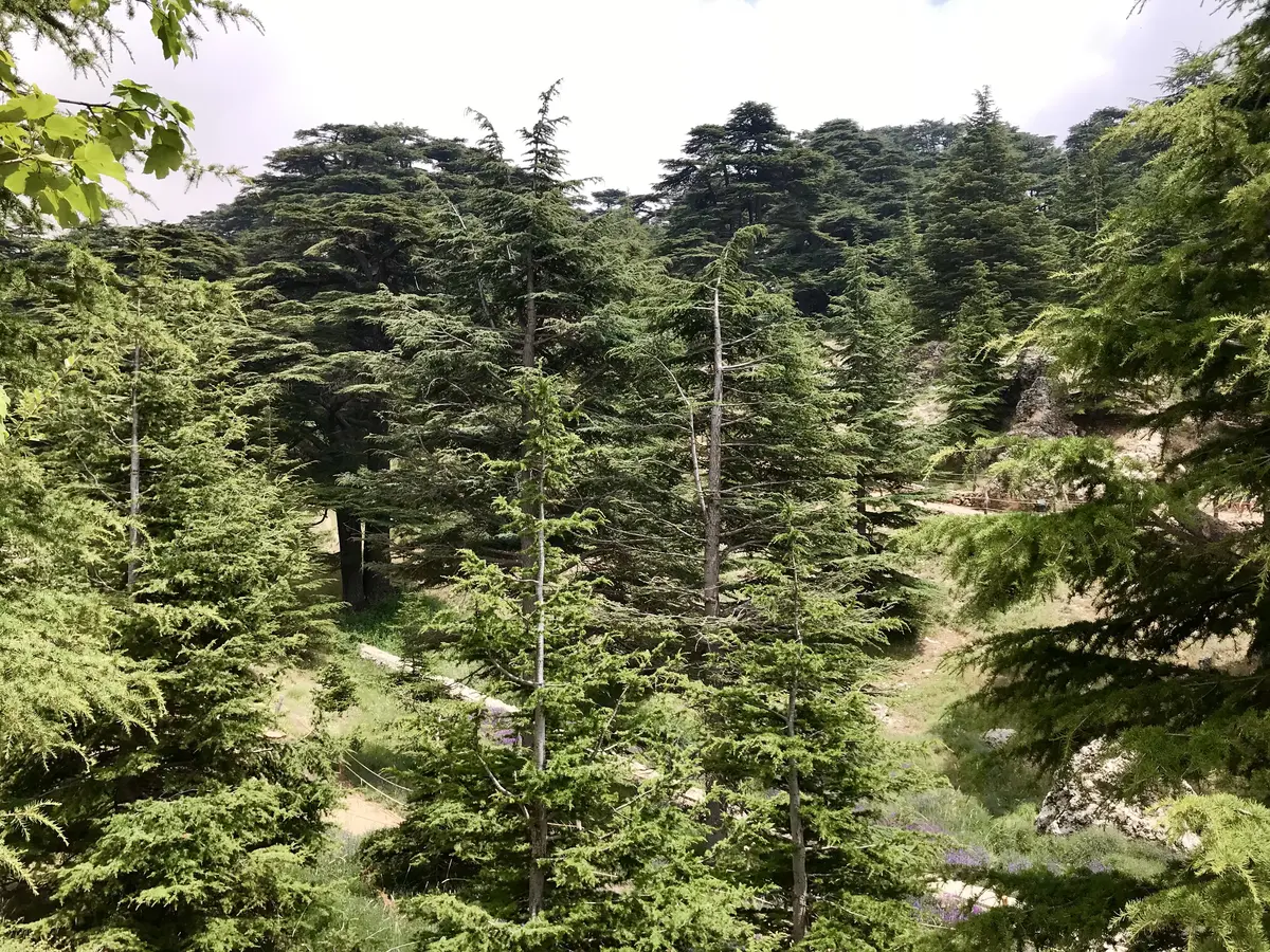 10 days in Lebanon road trip: The complete travel guide 9 10 days in lebanon road trip the complete travel guide 5