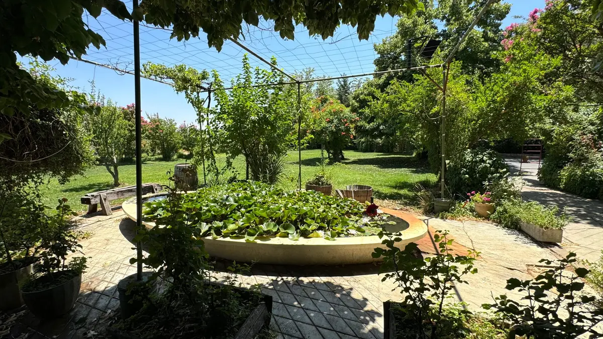 7 Best wineries in Bekaa Valley to visit: An expert guide 5 7 best wineries in bekaa valley to visit an expert guide 2