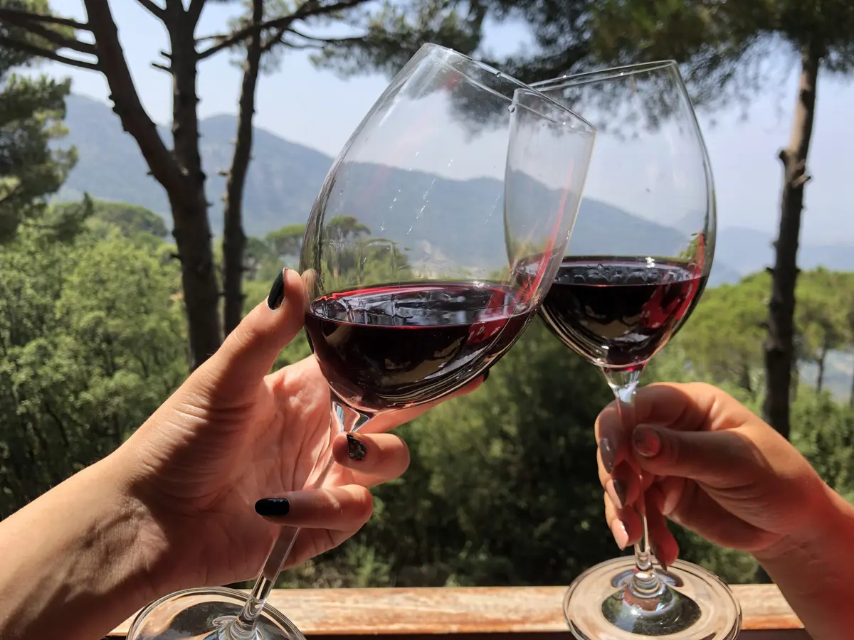 7 Best wineries in Bekaa Valley to visit: An expert guide 7 7 best wineries in bekaa valley to visit an expert guide 4