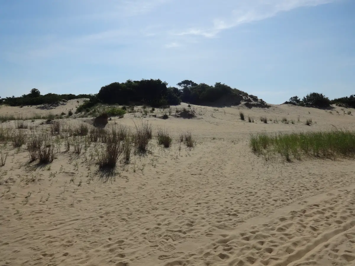 East Coast Spring Break: Where to Go by Vibe 10 Jockeys Ridge State Park Nags Head east coast spring break