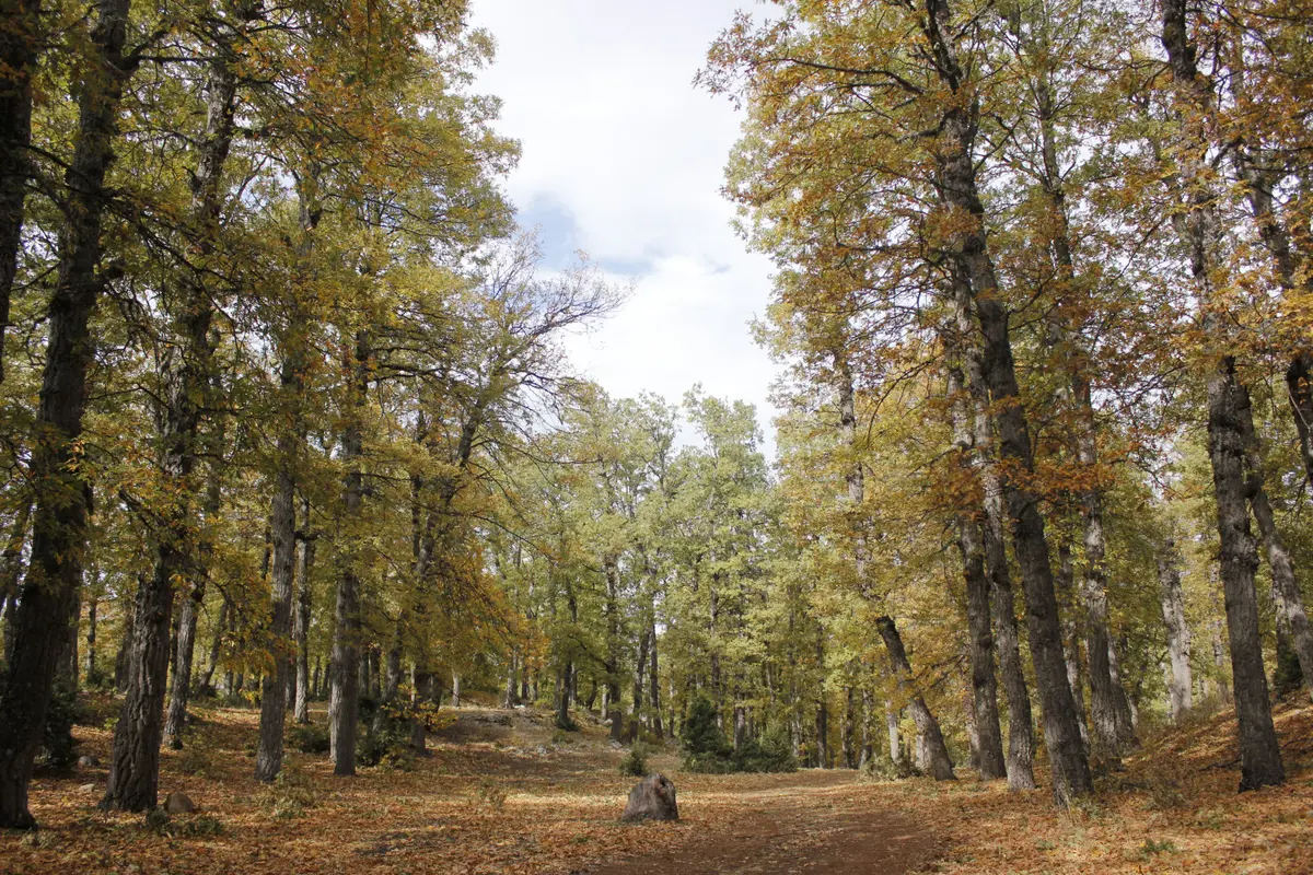 Akkar Hiking Trails: 5 Epic Routes (And The "Hell" Hike) 5 akkar hiking trails 5 routes in lebanons wild north 2