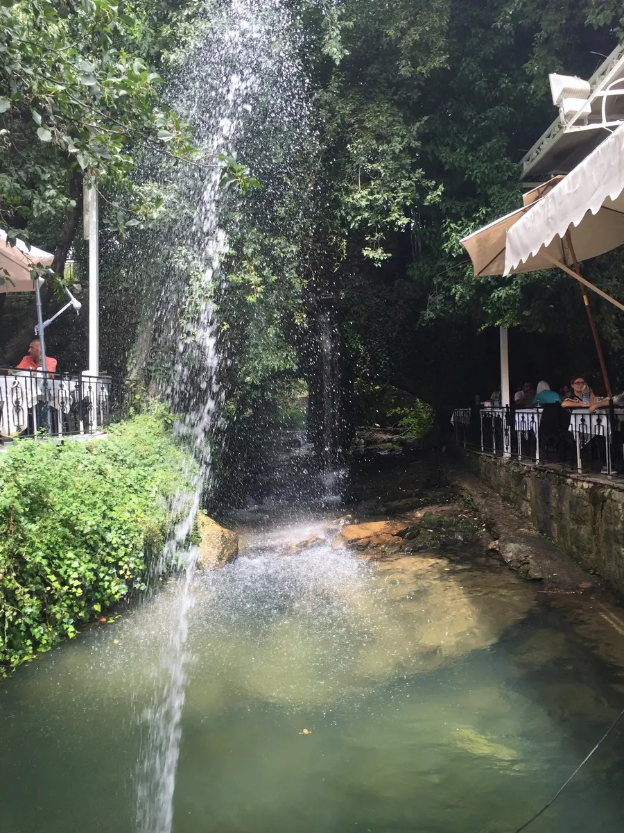 Barouk Cedar Forest hiking: 5 trails in Lebanon reserve 7 barouk cedar forest hiking 5 trails in lebanon reserve 4