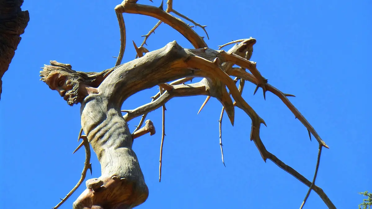 7 Tips for a Perfect Bsharri and The Cedars of God Visit 4 bsharri and the cedars of god visit 9 essential travel tips 1