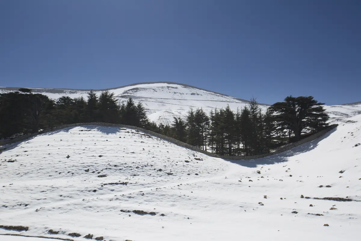 7 Tips for a Perfect Bsharri and The Cedars of God Visit 3 bsharri and the cedars of god visit 9 essential travel tips