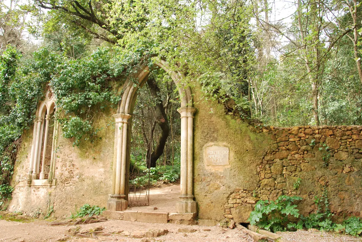 Coimbra Portugal: 9 secrets of the city of knowledge 6 coimbra portugal 9 secrets of the city of knowledge 3