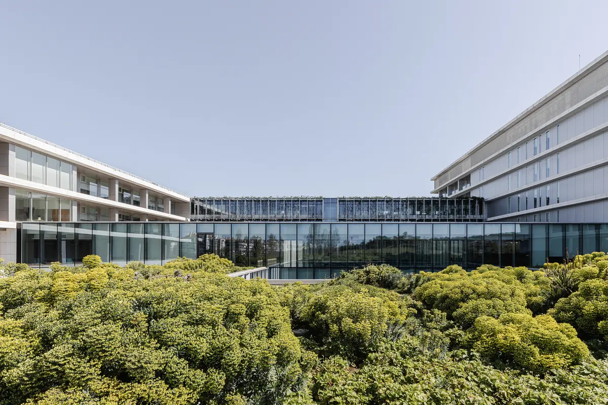 Do they speak English in Portugal? 7 language tips 7 do they speak english in portugal 7 language tips 4