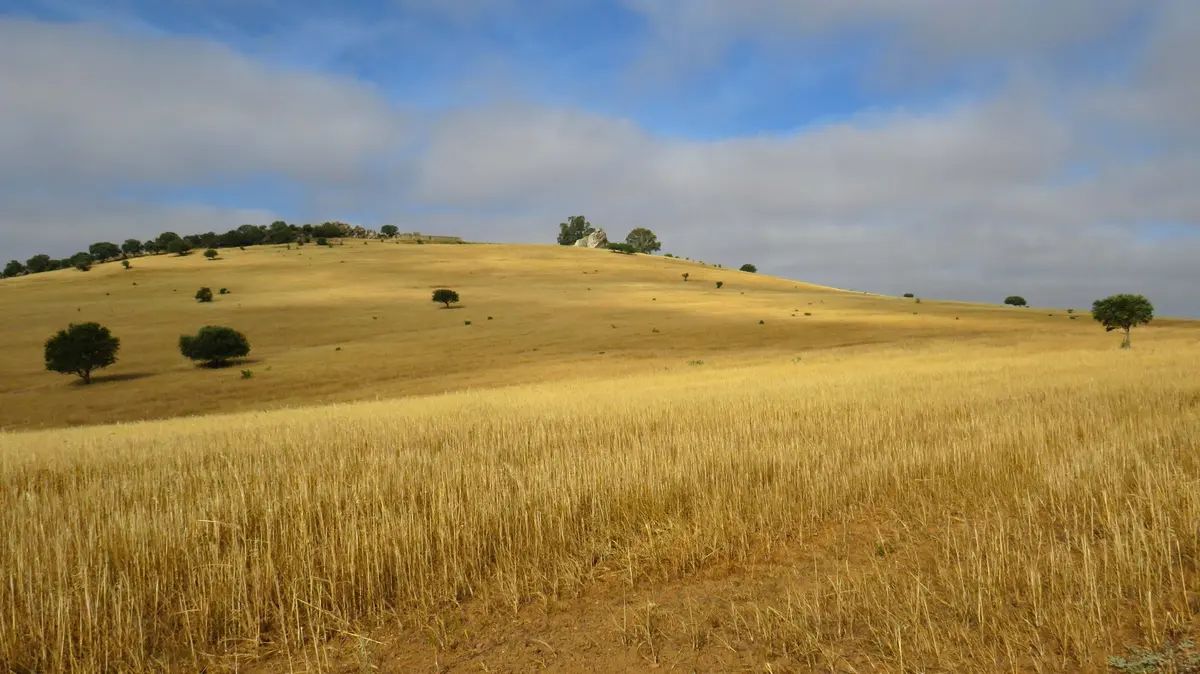 Evora Portugal Guide: 7 Secrets Of The Capital 3 evora portugal guide 7 secrets of the capital