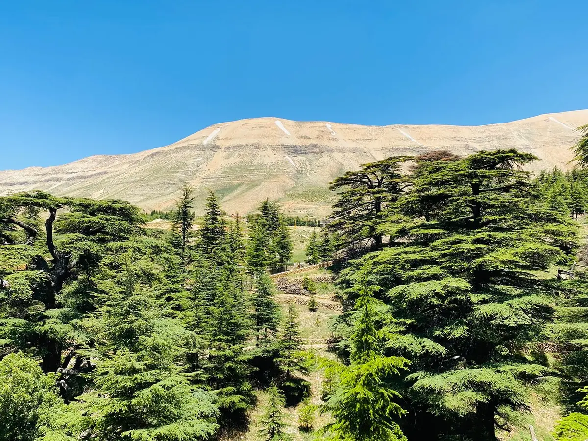 7 Things to Know Before Hiking Qadisha Valley: The Honest Guide 5 hiking qadisha valley guide 7 essential tips 2