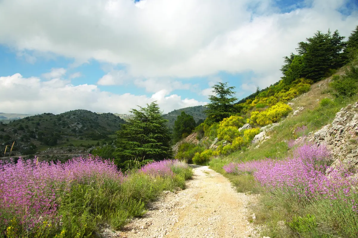 hiking the lebanon mountain trail 7 essential guide steps 1