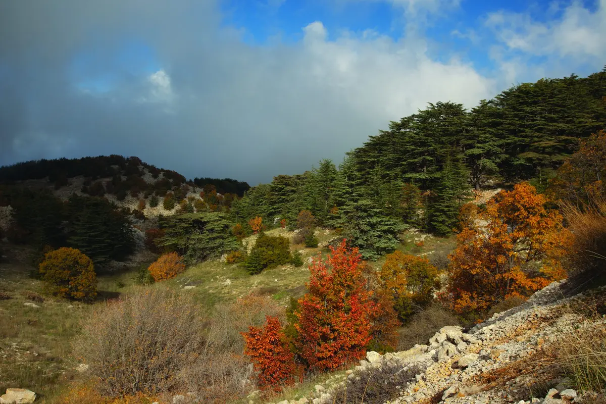 Hiking the Lebanon Mountain Trail: 9 Essential Insights for the Trek 7 hiking the lebanon mountain trail 7 essential guide steps 4