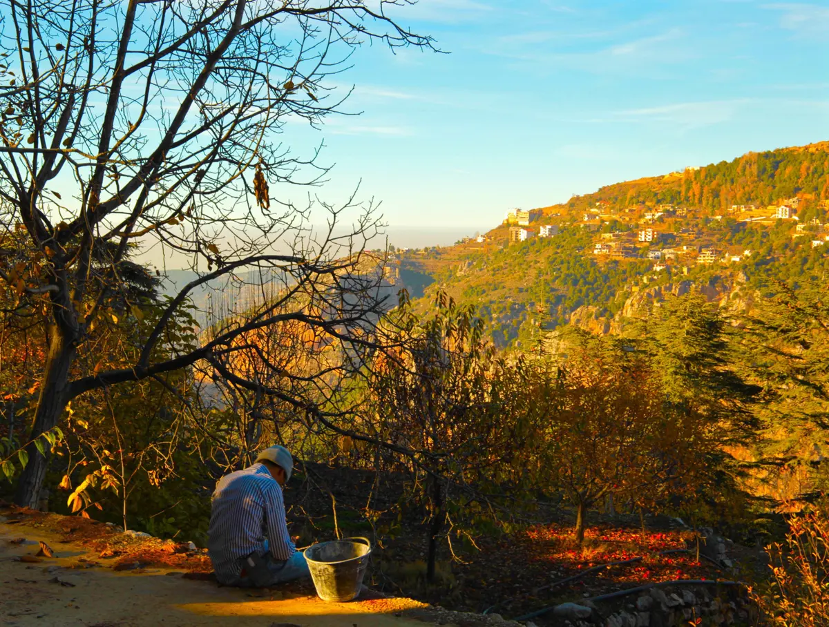 Lebanon Weather by Month: The Ultimate Guide (With Tips) 8 lebanon weather by month 12 month ultimate travel guide 5