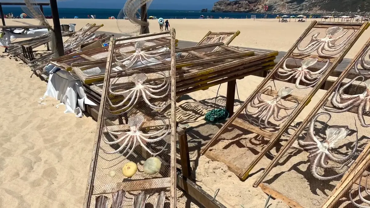 Nazaré Portugal: 9 Secrets of Big Waves and Culture 6 nazare portugal 9 secrets of big waves and culture 3