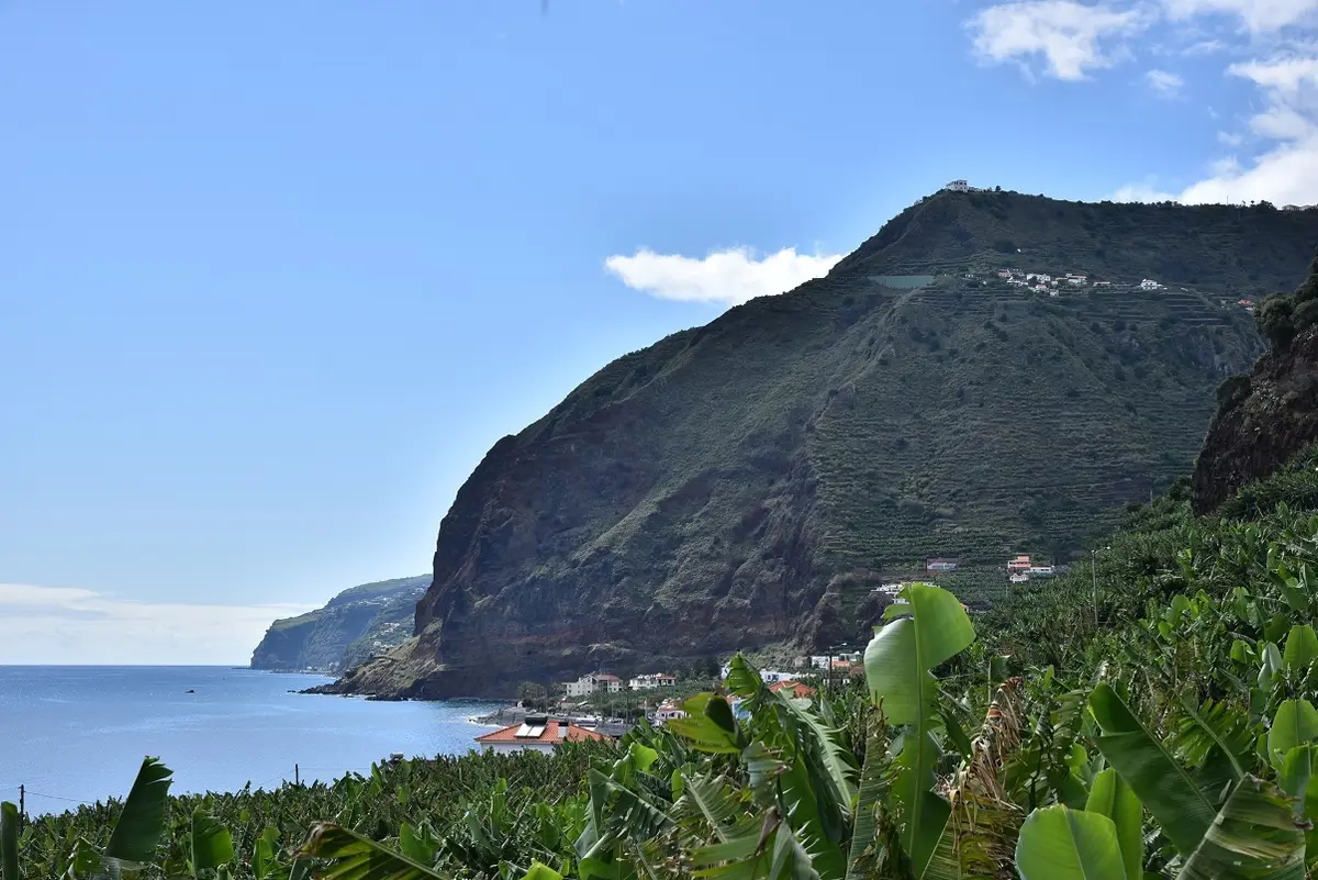 Where To Stay In Madeira: 5 Best Areas For Every Traveler 11 where to stay in madeira 5 best areas for every traveler 8