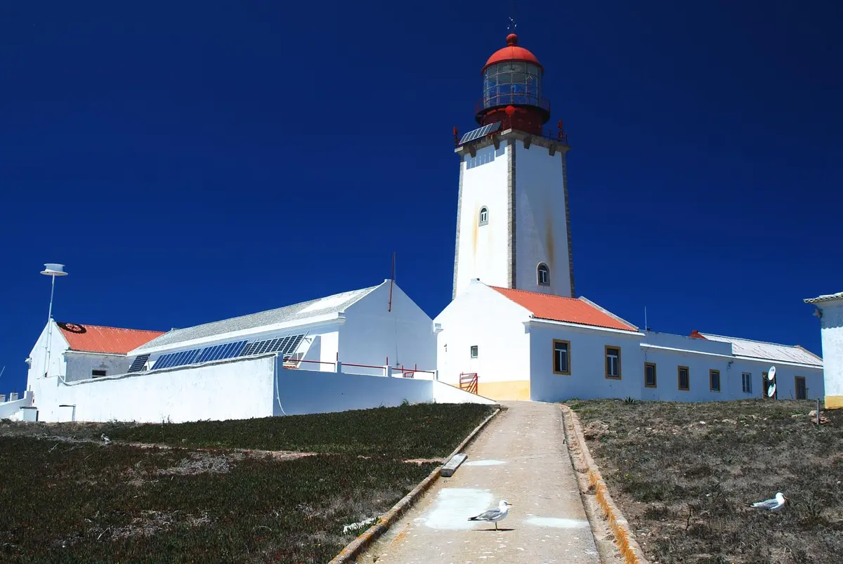 Berlengas Archipelago Guide: The Brutal Truth (And Prices) 10 berlengas archipelago guide the brutal truth and prices 7