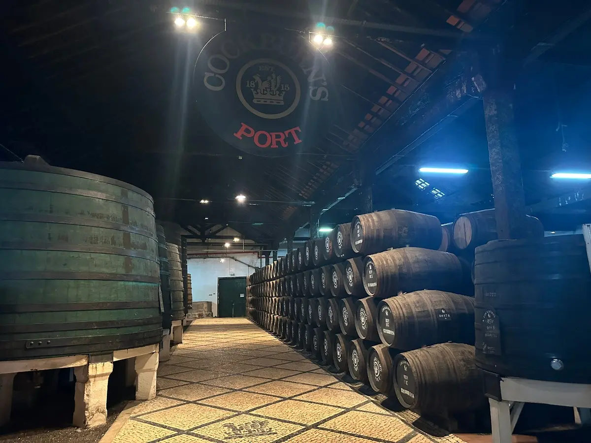 Douro River Cruise: The Brutal Truth (Ship Guide) 10 douro river cruise the brutal truth ship guide 7