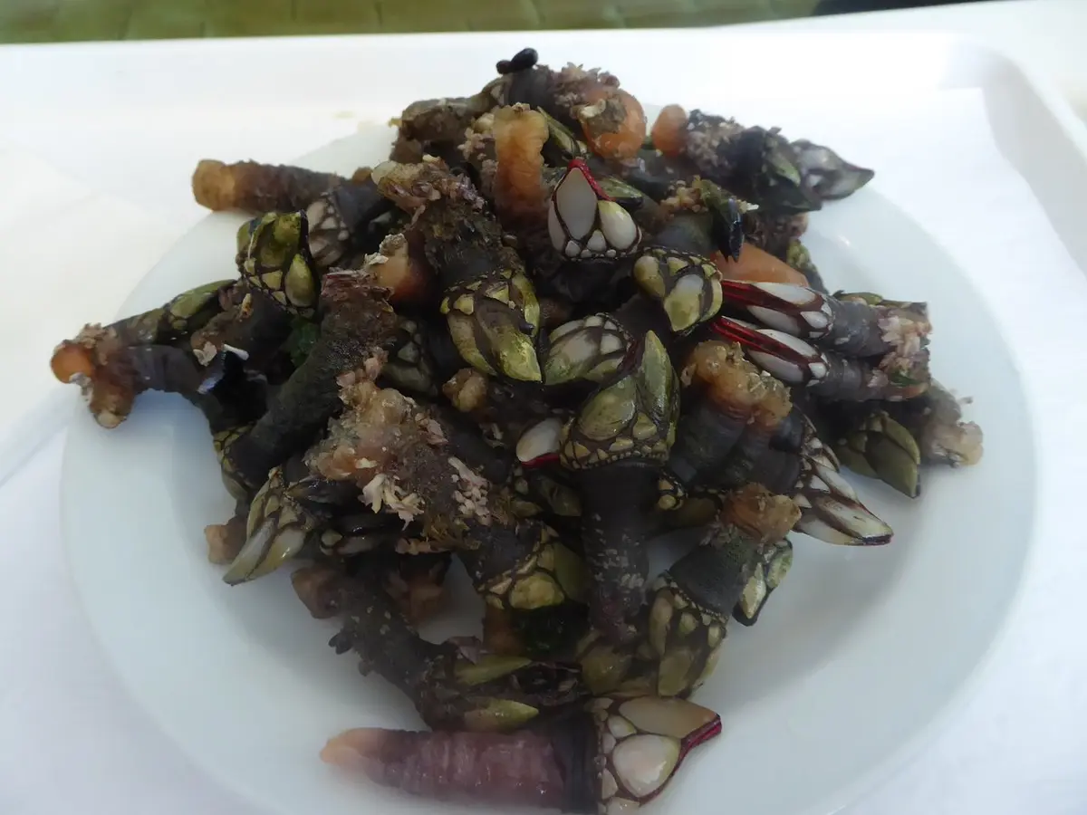 Fishermen’s Trail Guide: 6 Stages & Sand Survival Tips 13 fishermens trail guide 6 stages sand survival tips 10