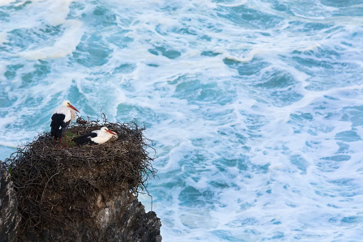 Fishermen’s Trail Guide: 6 Stages & Sand Survival Tips 5 fishermens trail guide 6 stages sand survival tips 2