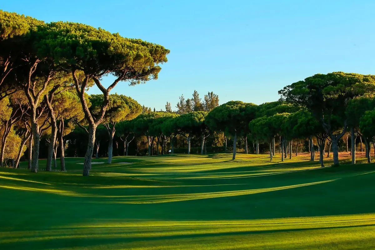 Golf in the Algarve: 17 Best Courses (And Hidden Costs) 14 MILLENNIUM GOLF COURSE VILAMOURA (2026) All You Should Know BEFORE You Go (w/ Reviews)