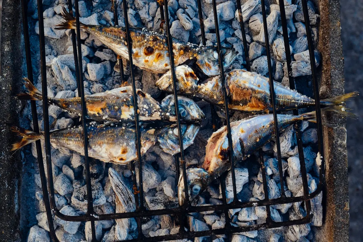 Lisbon to Algarve: 7 Mistakes to Avoid (Complete Guide) 6 lisbon to algarve 7 mistakes to avoid complete guide 3