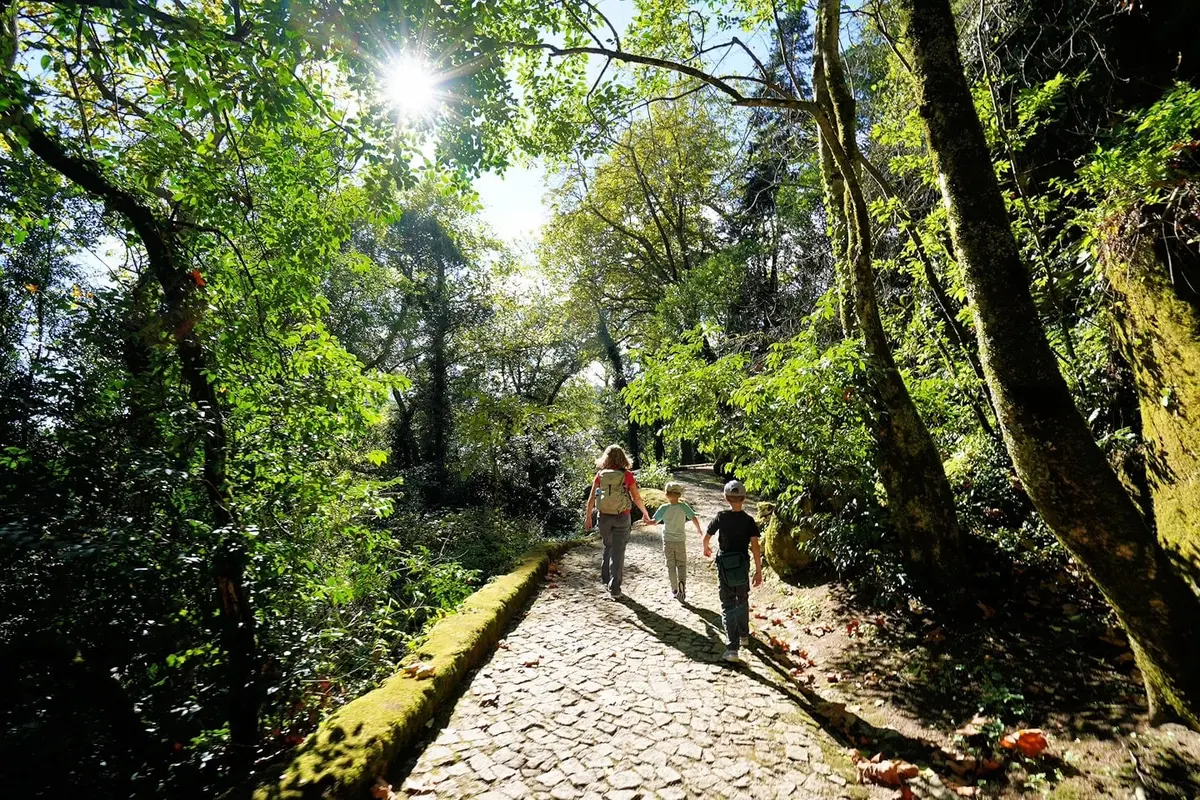 Lisbon to Sintra: The Brutal Transport Guide (Costs & Scams) 6 lisbon to sintra the brutal transport guide costs scams 4