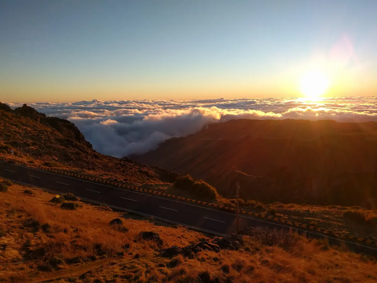 New Year's Eve Madeira: 7 Survival Rules 4 new years eve madeira 7 survival rules 1