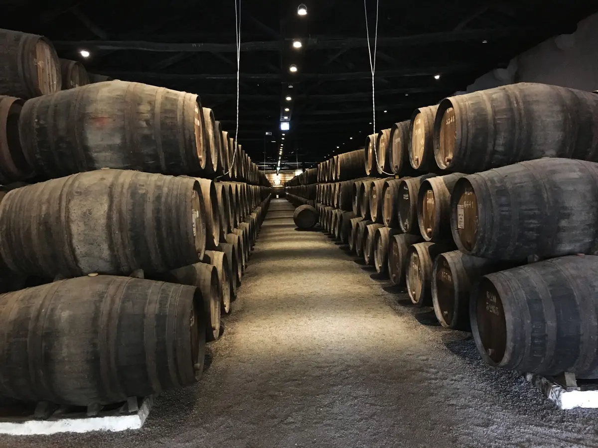 Port Wine Cellars: 9 Best Spots (And Tourist Traps) 3 port wine cellars 9 best spots and tourist traps