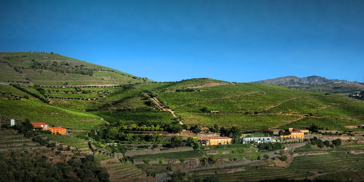 Porto to Douro Valley: 4 Ways to Go (And 1 to Avoid) 9 porto to douro valley 4 ways to go and 1 to avoid 5
