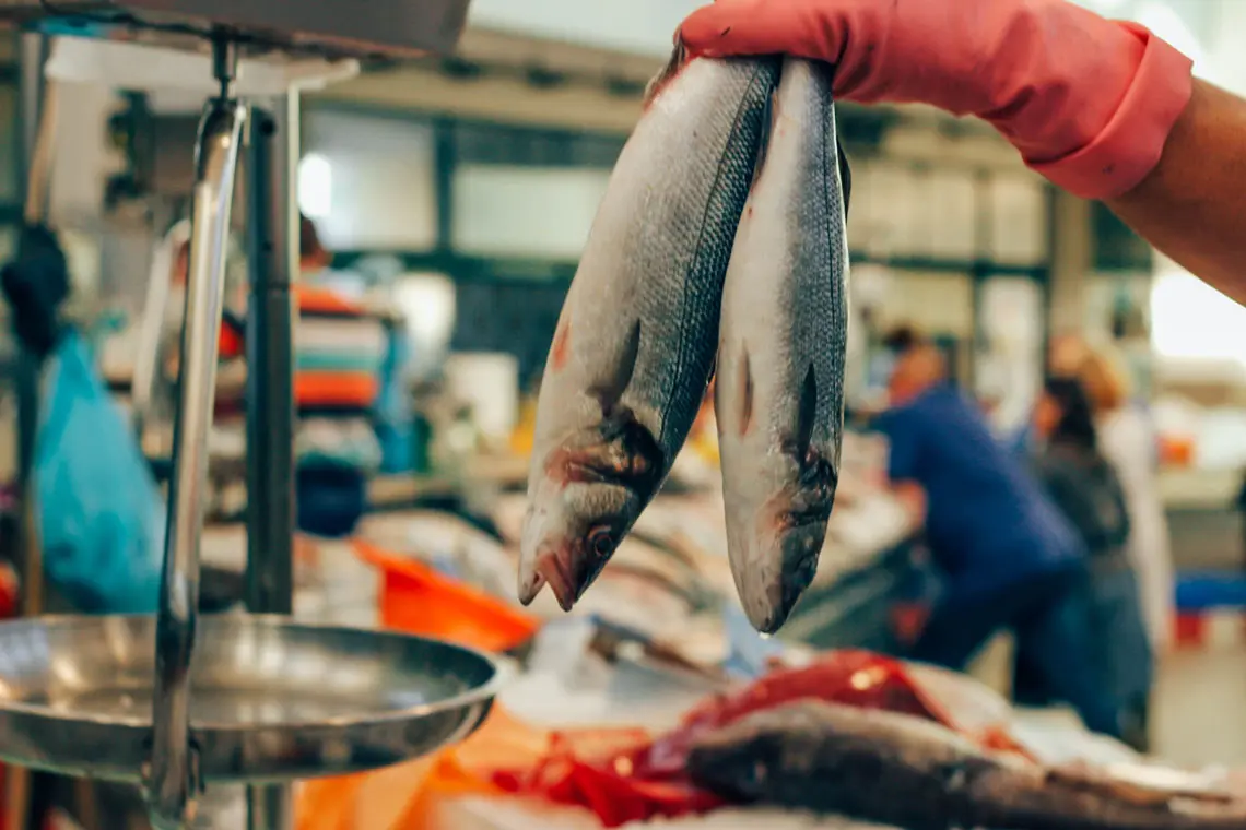 Time Out Market Lisbon: The Brutal Truth (Cheat Sheet) 4 time out market lisbon the brutal truth cheat sheet 1