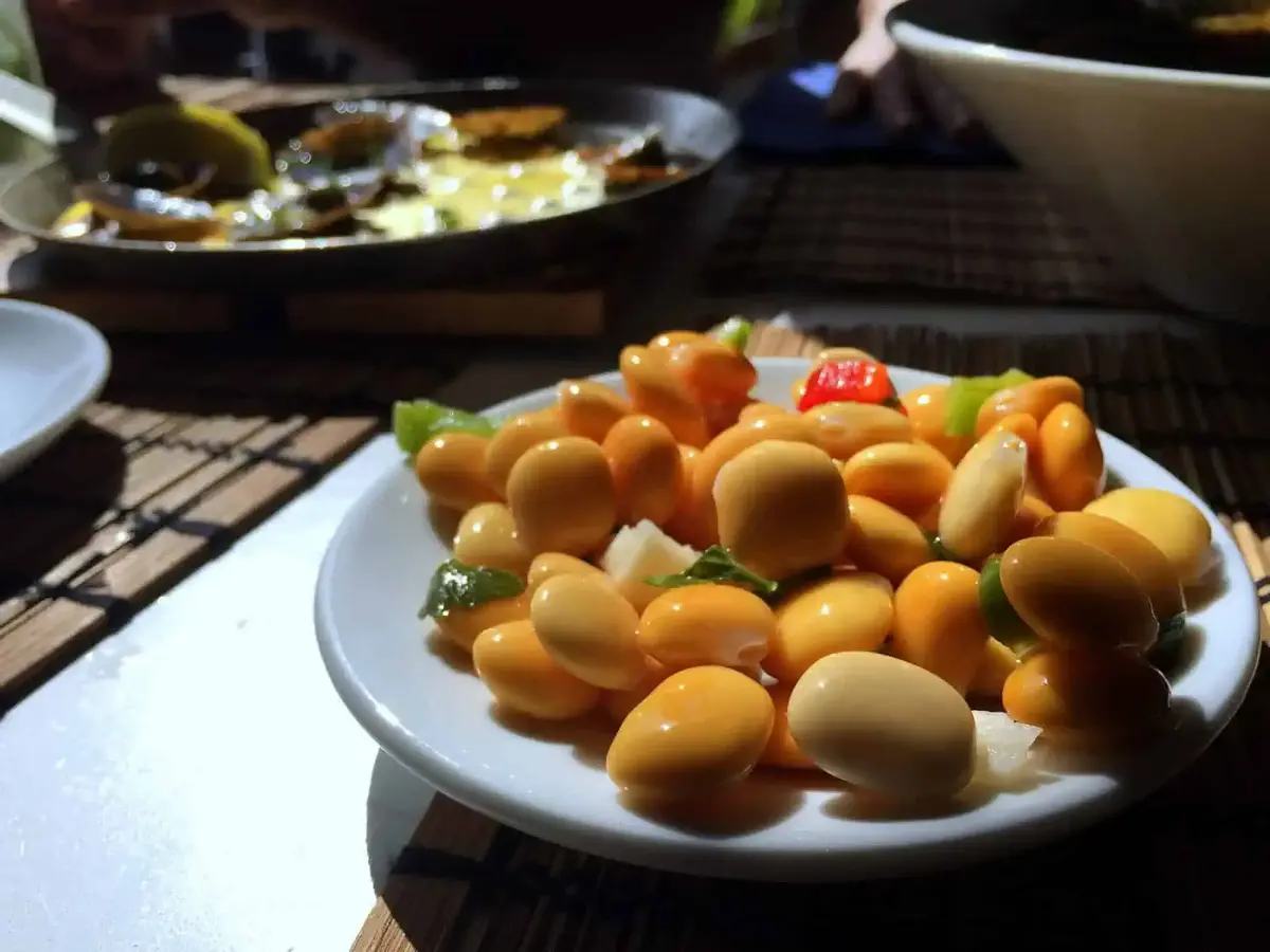 vegan in portugal the ultimate guide with prices 6