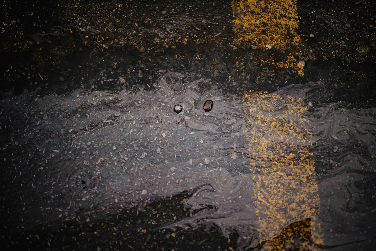 Winter in Portugal: 9 Brutal Truths (The Insider Guide) 4 winter in portugal 9 brutal truths the insider guide 1