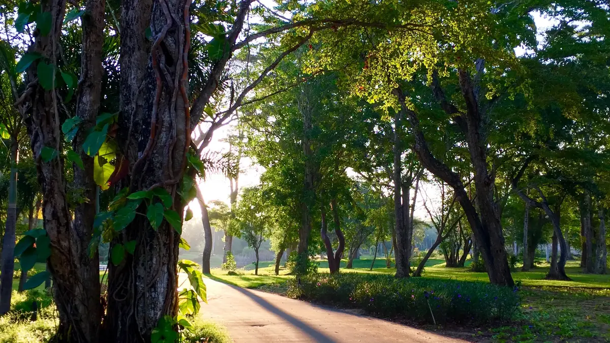 best eco lodges in puerto rico for sustainable island travel 10