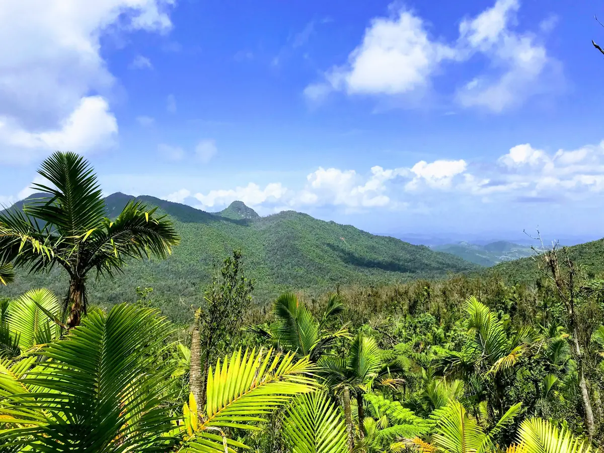 best eco lodges in puerto rico for sustainable island travel