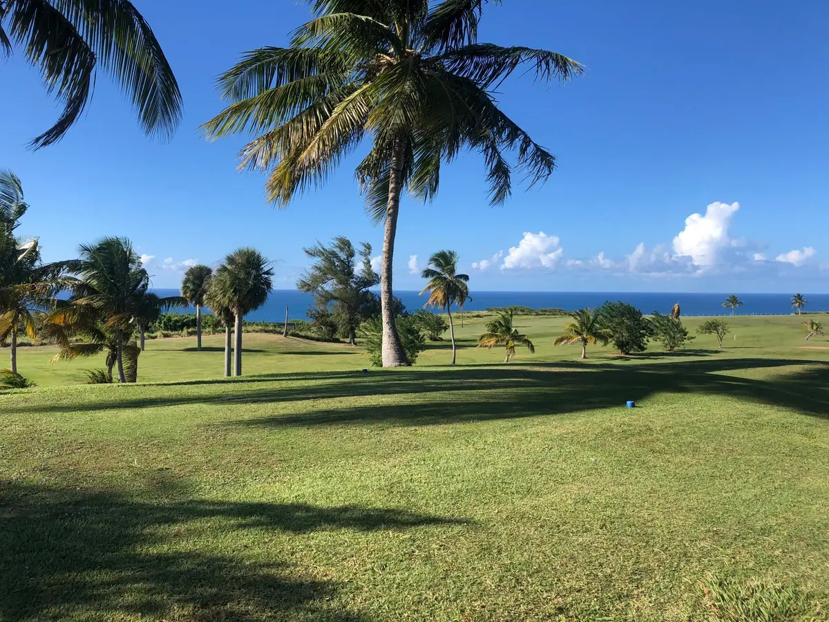 Best Golf Courses in Puerto Rico: The Truth (Read First) 9 best golf courses in puerto rico the truth read first 5