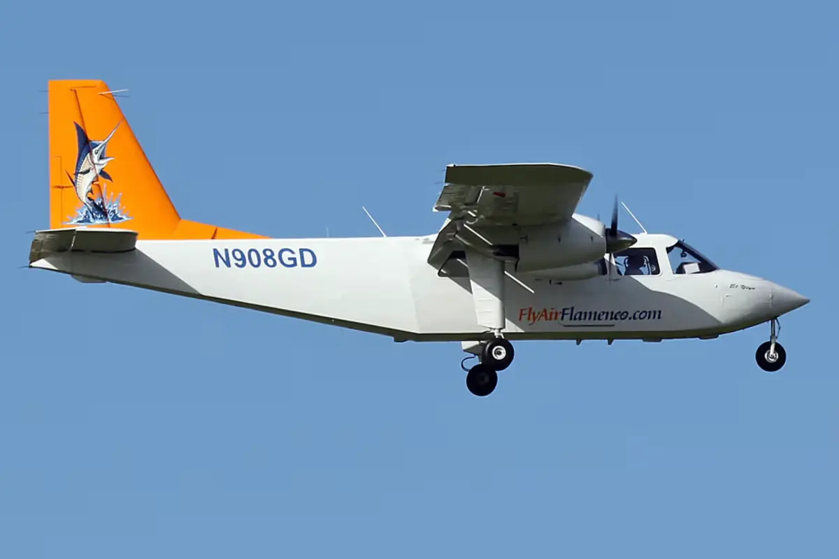 Ceiba Ferry: The Unfiltered Survival Guide (Ticket Hacks) 7 ceiba ferry the unfiltered survival guide ticket hacks 4