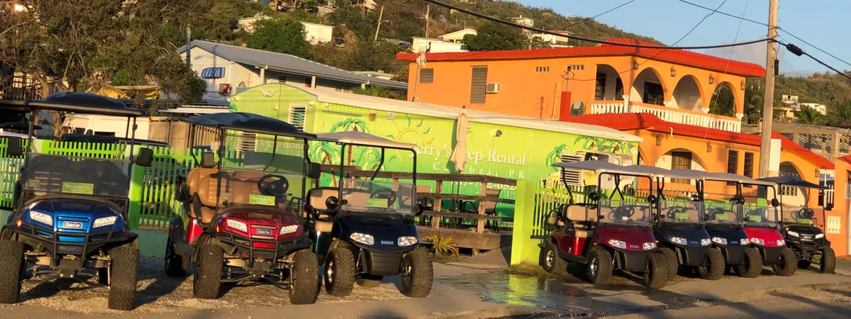 Ceiba Ferry: The Unfiltered Survival Guide (Ticket Hacks) 8 ceiba ferry the unfiltered survival guide ticket hacks 5