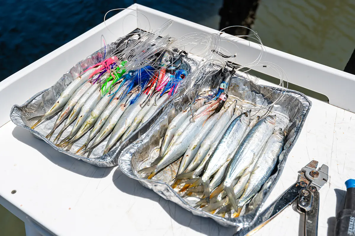 Deep Sea Fishing in Puerto Rico: The Real Cost (No Scams) 7 deep sea fishing in puerto rico the real cost no scams 4