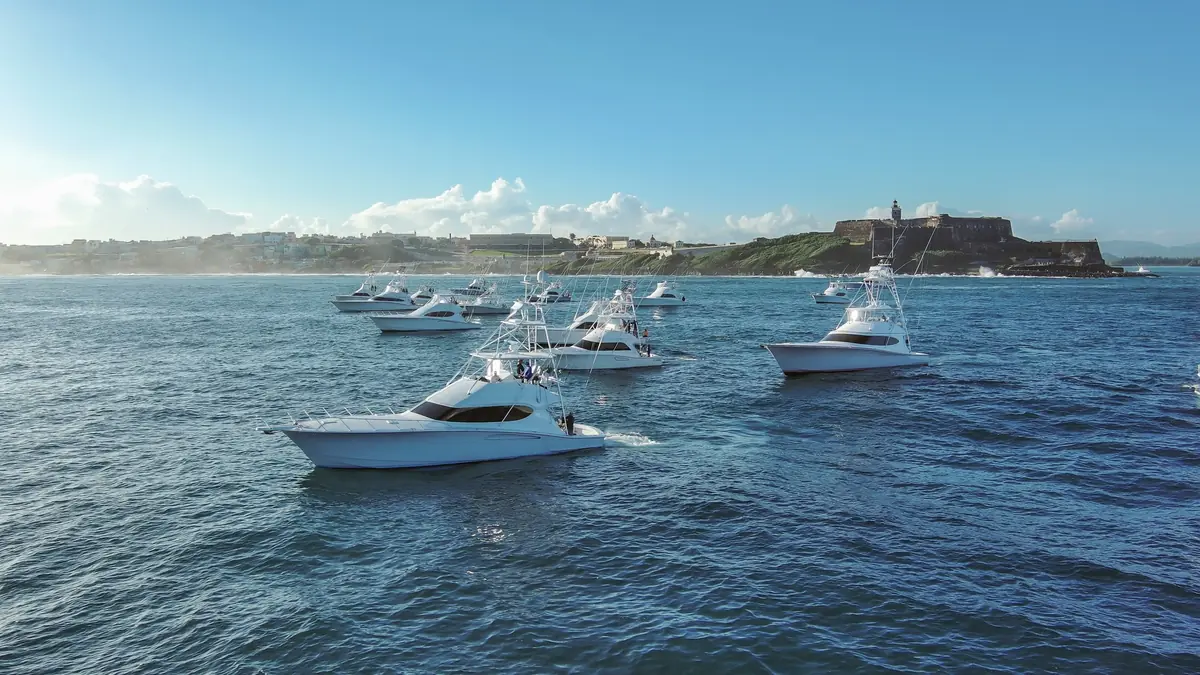 Deep Sea Fishing in Puerto Rico: The Real Cost (No Scams) 9 deep sea fishing in puerto rico the real cost no scams 6