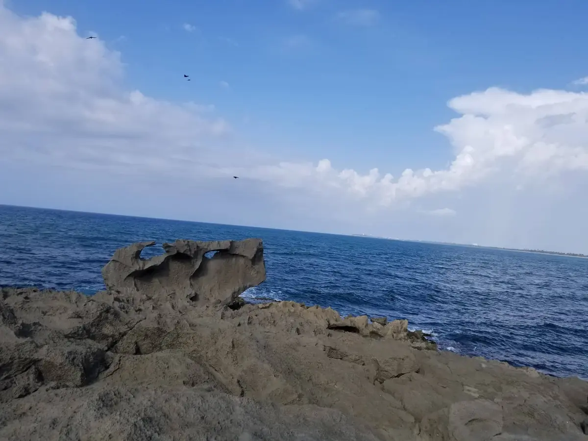 Dorado Puerto Rico: Avoid Tourist Traps (Read First) 6 dorado puerto rico avoid tourist traps read first 3