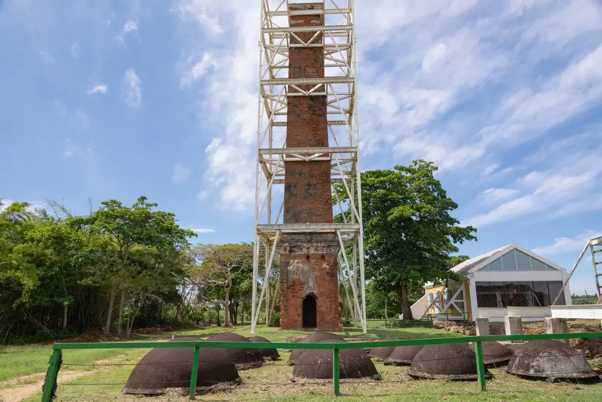 Dorado Puerto Rico: Avoid Tourist Traps (Read First) 12 dorado puerto rico avoid tourist traps read first 8