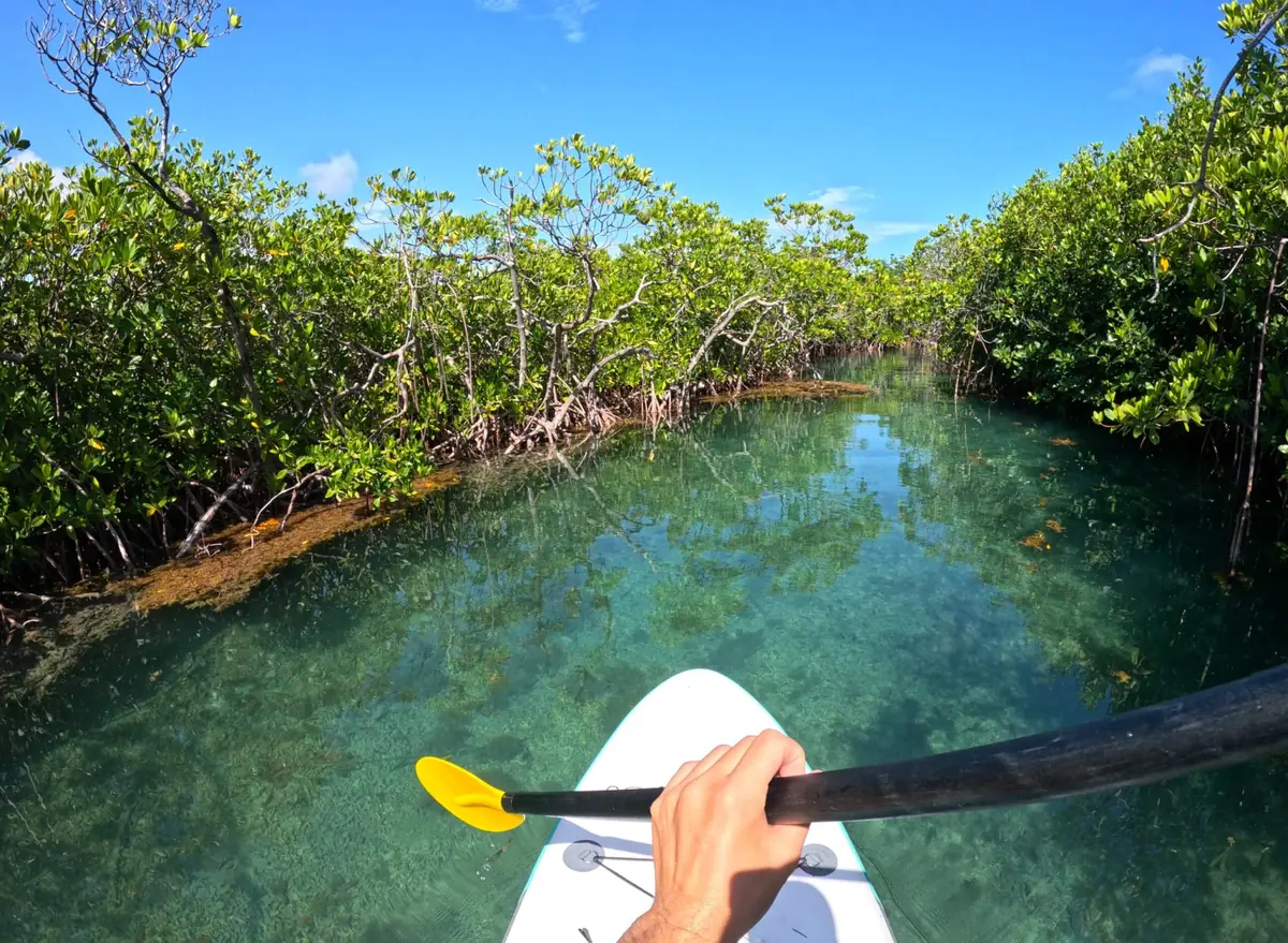 guanica la parguera travel guide 3 days 2 ecosystems 4