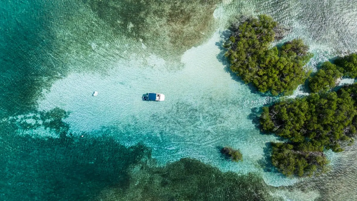 guanica la parguera travel guide 3 days 2 ecosystems