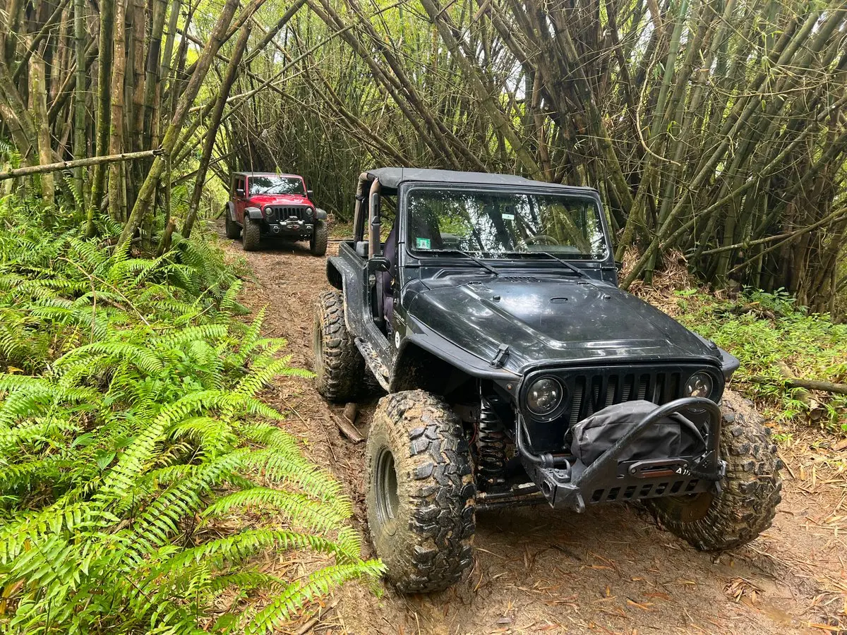 Is Puerto Rico Safe? The Brutal Truth (Scam Warning) 10 is puerto rico safe the brutal truth scam warning 7