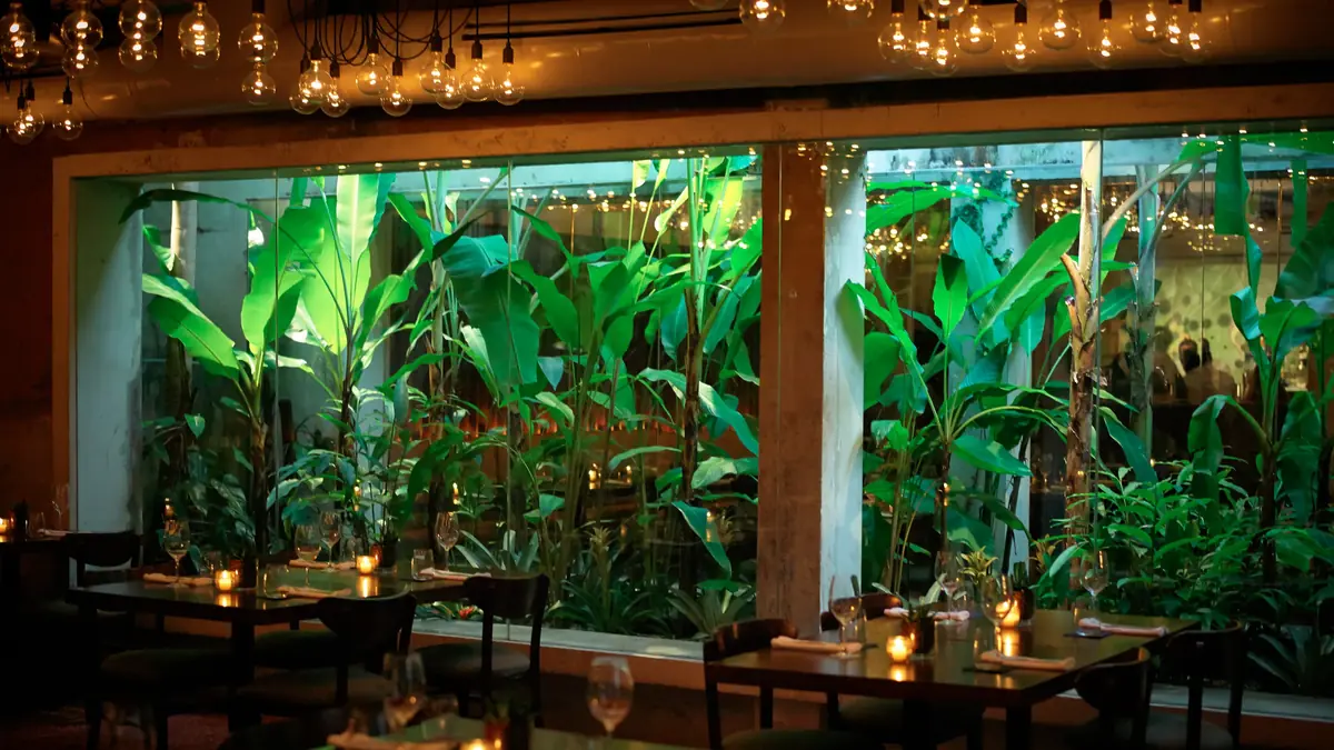 La Placita de Santurce: Nightlife, Food and Safety 5 la placita de santurce nightlife food and safety 2