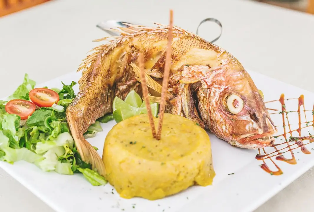 Luquillo Kiosks: Dodge the Gridlock Trap (Read First) 12 luquillo kiosks dodge the gridlock trap read first 10