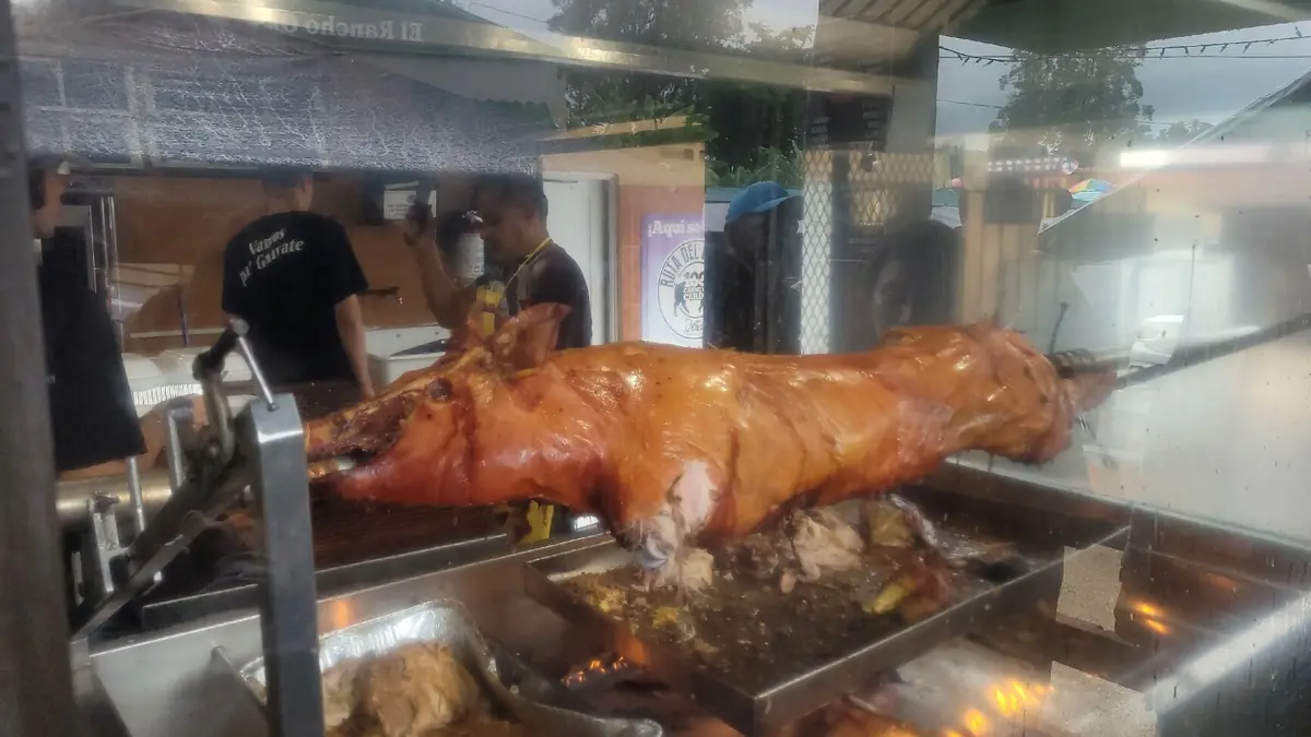 Puerto Rico 7-Day Itinerary: Avoid Rookie Traps (Must Read) 8 puerto rico 7 day itinerary avoid rookie traps must read 5