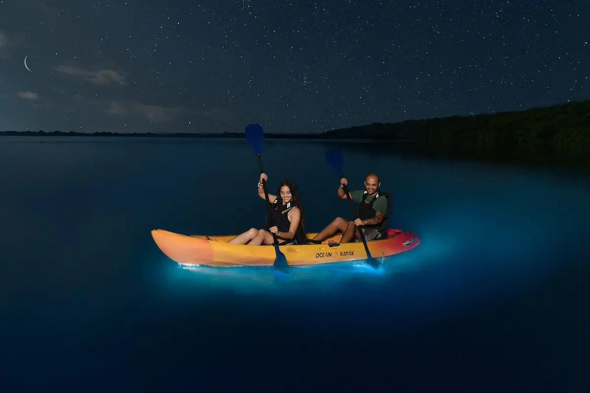 puerto rico bioluminescent bay tours read before booking 1