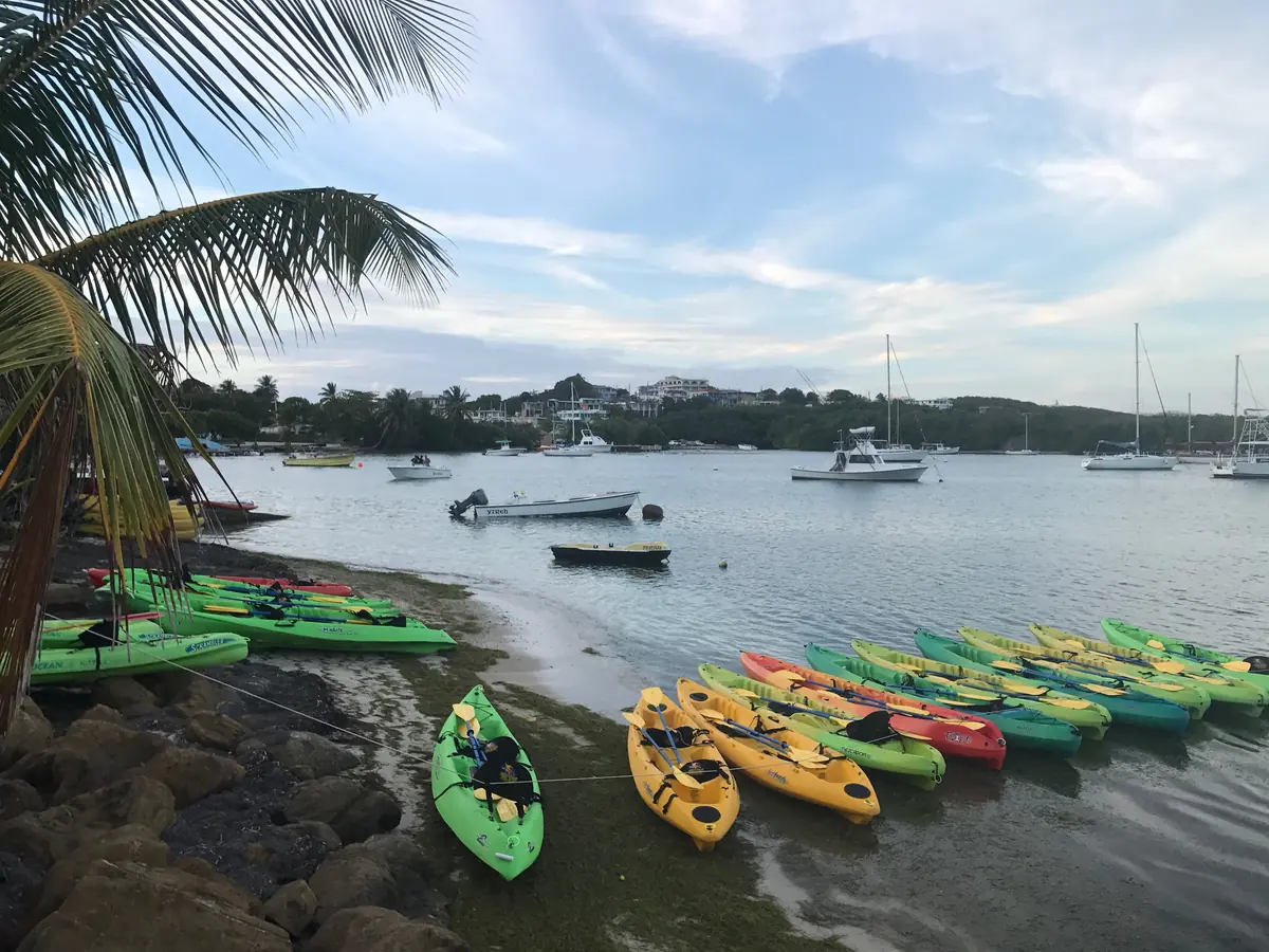 Puerto Rico Bioluminescent Bay Tours (Read Before Booking) 5 puerto rico bioluminescent bay tours read before booking 2