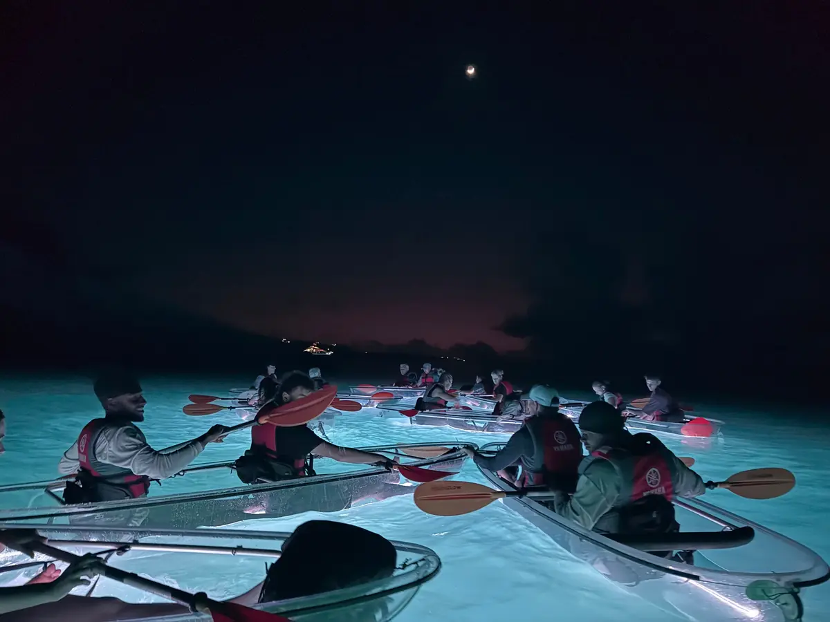 Puerto Rico Bioluminescent Bay Tours (Read Before Booking) 8 puerto rico bioluminescent bay tours read before booking 5